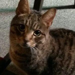 Meet your Posher, Krzysztof